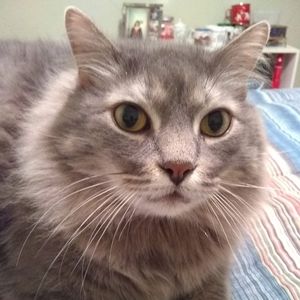 Meet your Posher, June